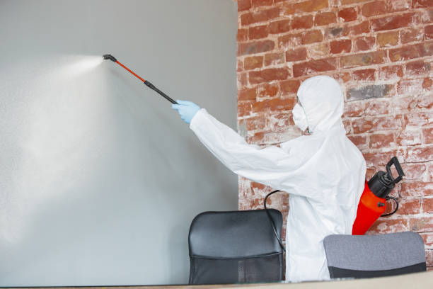 Forensic Mold Investigation in Oak Grove, KY