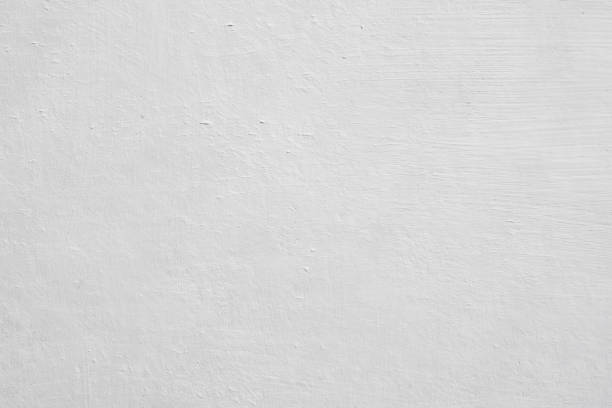 Best Mold Damage Restoration  in Oak Grove, KY